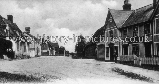The Village, Gt Sampford, Essex. c.1905